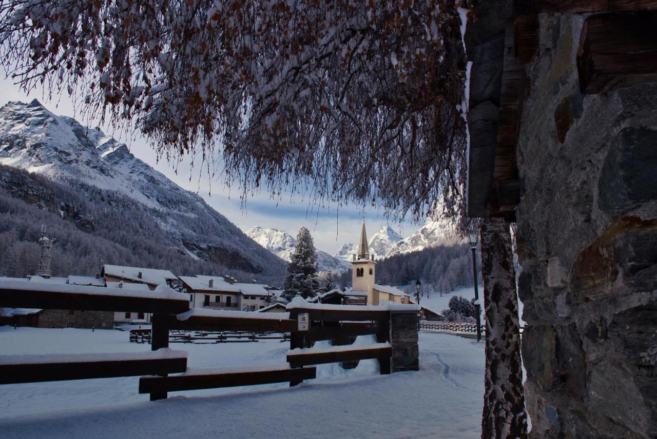 Case Gran Paradiso Notre Dame
