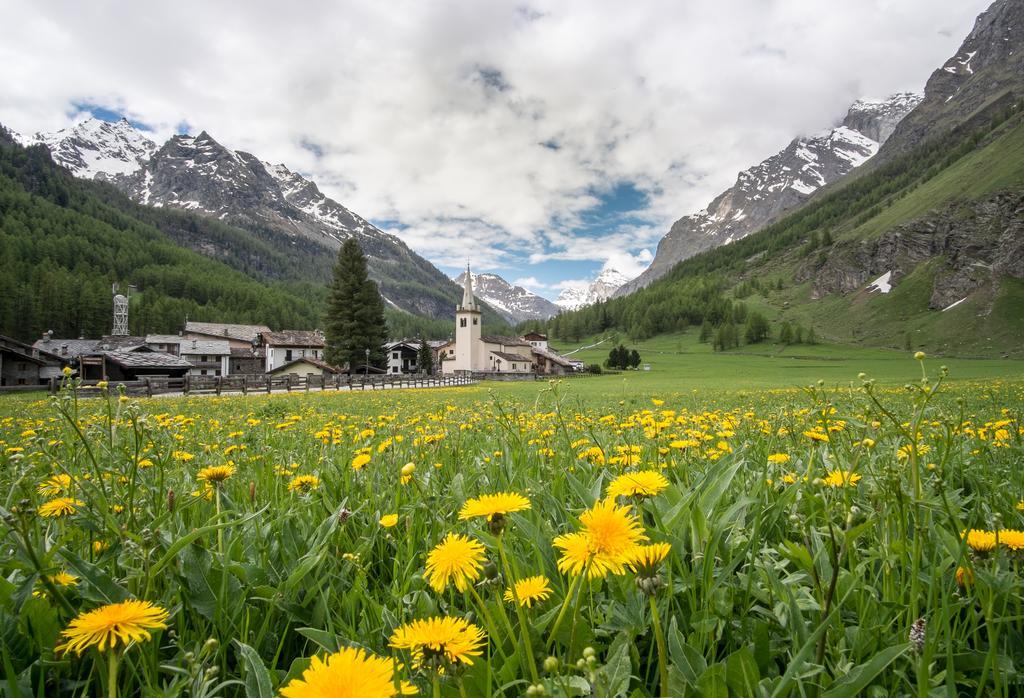 Apartment Case Gran Paradiso Notre Dame